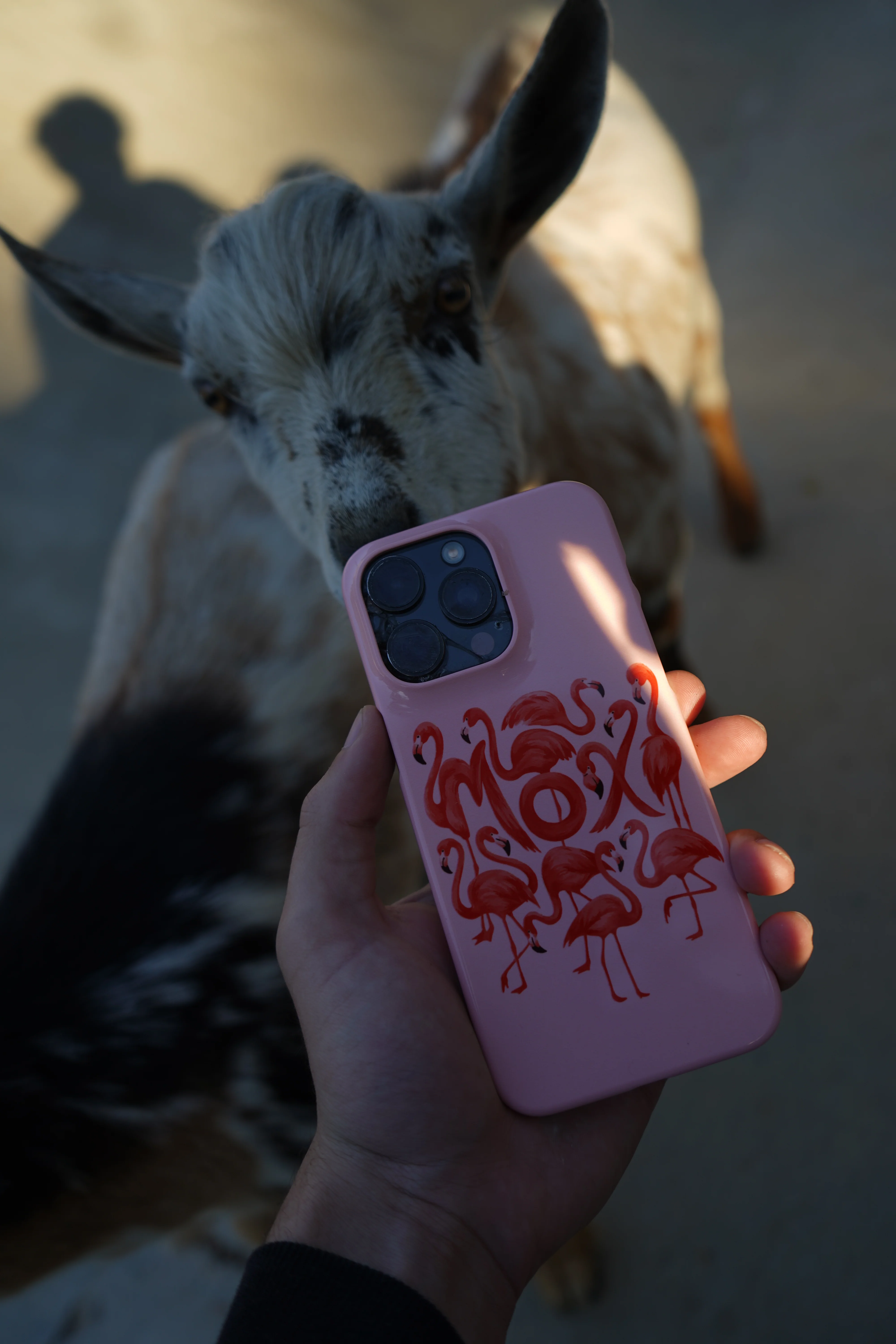 Moxi Flamingo Phone Case - Image 3